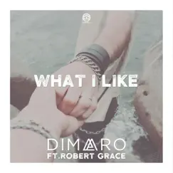 What I Like (feat. Robert Grace) [Radio Edit] Song Lyrics
