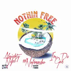 Nothin Free - Single by Irv Da God, #NOFREESHO & Almighy Nigel album reviews, ratings, credits