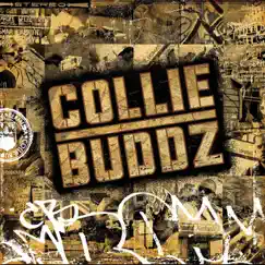 Collie Buddz by Collie Buddz album reviews, ratings, credits