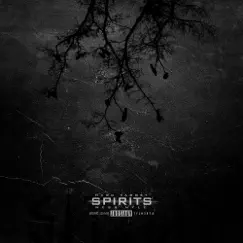 Spirits by Hard Target & Wess Nyle album reviews, ratings, credits