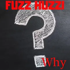 Why - Single by Fuzz Huzzi album reviews, ratings, credits