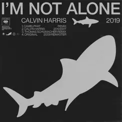 I'm Not Alone (2019 Edit) Song Lyrics