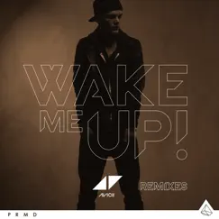 Wake Me Up (Remixes) - Single by Avicii album reviews, ratings, credits