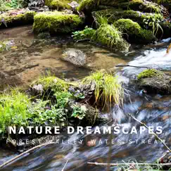 Forest Valley Water Stream by Nature Dreamscapes album reviews, ratings, credits