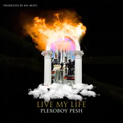 Live My Life - Single by PlexoBoy Pesh album reviews, ratings, credits