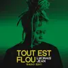 Tout est flou (Radio Edit) - Single album lyrics, reviews, download