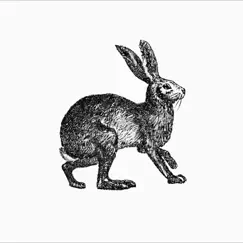 Bunny Beats (with Coyote Grooves) Song Lyrics