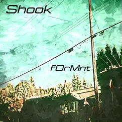 Shook - Single by F0rMnt album reviews, ratings, credits