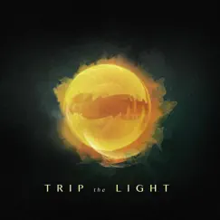 Trip the Light - Single by Ryan Taubert album reviews, ratings, credits