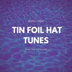 Tin Foil Hat Song Lyrics