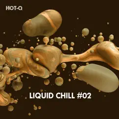 Liquid Chill, Vol. 02 by Hot-Q album reviews, ratings, credits