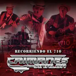 Recorriendo El 710 - Single by Los Caimanes De Sinaloa album reviews, ratings, credits
