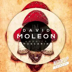 Amanita Muscaria - Single by David Moleon album reviews, ratings, credits