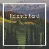 Helende berg - Rustgevende keltische muziek album lyrics, reviews, download