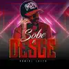 Sobe e Desce - Single album lyrics, reviews, download