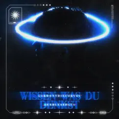 Wissen was du denkst - Single by Luk.dontdieforyou & headless_DATA album reviews, ratings, credits