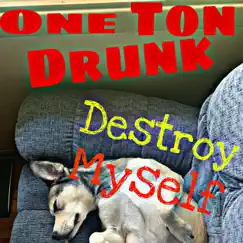 Destroy Myself - Single by One Ton Drunk album reviews, ratings, credits