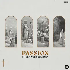 Passion: A Holy Week Journey by Higher Vision album reviews, ratings, credits