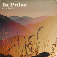 In Pulse - Single by Assaf Ayalon album reviews, ratings, credits