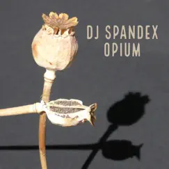 Opium - Single by DJ Spandex album reviews, ratings, credits