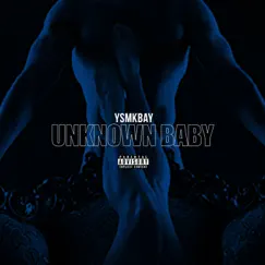 Unknown Baby - Single by Ysmkbay album reviews, ratings, credits