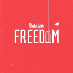 Freedom Song Lyrics