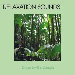 Sleep By the Jungle by Relaxation Music, Meditation Music & Nature Sounds album reviews, ratings, credits