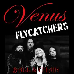 Ball & Chain - Single by Venus Flycatchers album reviews, ratings, credits