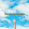 You Are My Sunshine - Single album lyrics, reviews, download