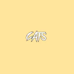 Cats Song Lyrics