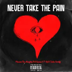 Never Take the Pain (feat. Trell', B Karma & John Cardiff) Song Lyrics