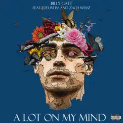 A lot on my mind (feat. Edelweiss & Zach Weisz) Song Lyrics