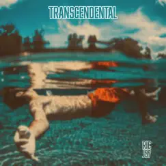 Transcendental (feat. J57) - Single by Ric Chavez album reviews, ratings, credits