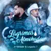 Lágrimas en Mi Almohada - Single album lyrics, reviews, download