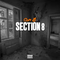 Section 8 by Con B album reviews, ratings, credits