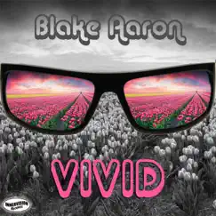 Vivid (Radio Single) - Single by Blake Aaron album reviews, ratings, credits
