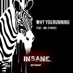 Why You Running (feat. Mr. Stripes) Song Lyrics