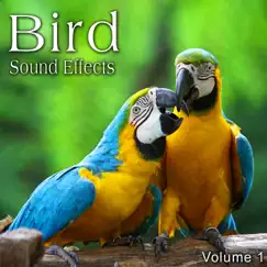 Bird Sound Effects, Vol. 1 by The Hollywood Edge Sound Effects Library album reviews, ratings, credits