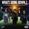 What's Going Down? (feat. M1 Dead Prez & Ras Tariq) - Single album lyrics, reviews, download