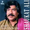 Qissa Yusaf Zulaikha album lyrics, reviews, download