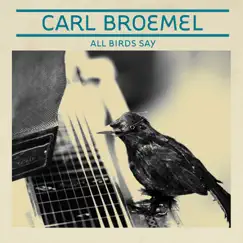 All Birds Say Song Lyrics