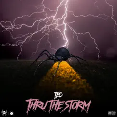Thru the Storm Song Lyrics