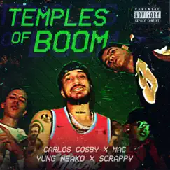 Temples of Boom (feat. Carlos Cosby, Mac & $crappy G) Song Lyrics