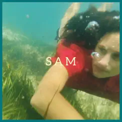 SAM - Single by La Zorra Zapata & Piscis album reviews, ratings, credits