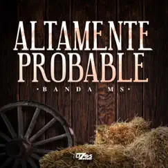 Altamente Probable - Single by Banda MS de Sergio Lizárraga album reviews, ratings, credits