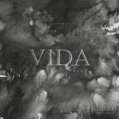 VIDA Song Lyrics