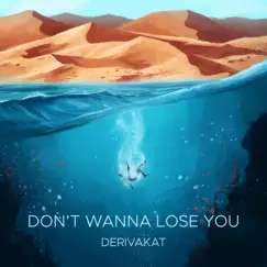 Don't Wanna Lose You Song Lyrics