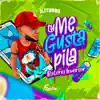 Tu Me Gusta Pila Batería Inversor (Remix) - Single album lyrics, reviews, download