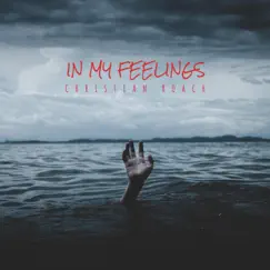 In My Feelings - Single by Christian Roach album reviews, ratings, credits