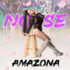 No Se - Single by Amazona album reviews, ratings, credits